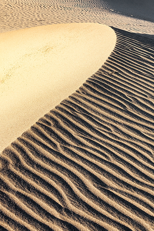 Golden Dune